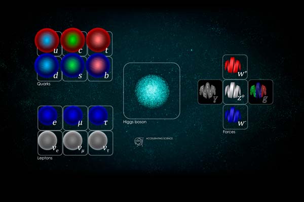 The building blocks of our Universe